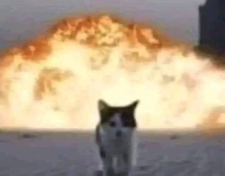 Jeanine White at work with a colleague